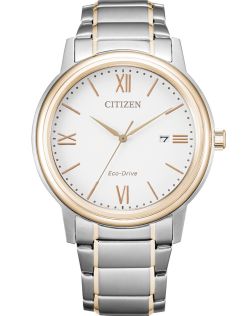 Citizen elegant herenhorloge met Eco-Drive en tweekleurige stalen band | AW1676-86A