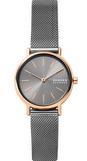 Skagen Falster 2 Gen 4 Smartwatch SKT5103 - RIP