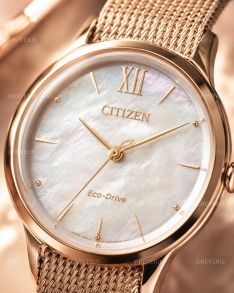Citizen Eco-Drive dameshorloge met parelmoer wijzerplaat en mesh band | EM0813-86Y
